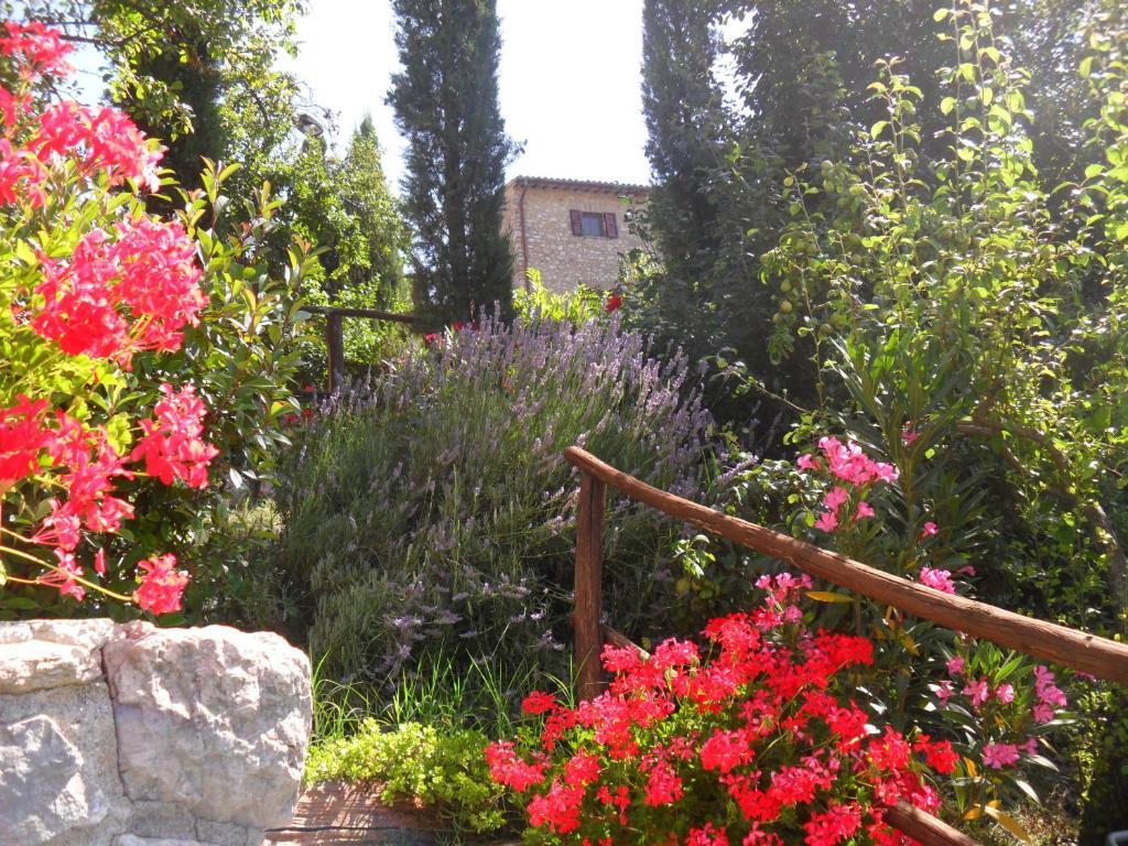 Agriturismo Roccagelli Vallo di Nera Exterior photo
